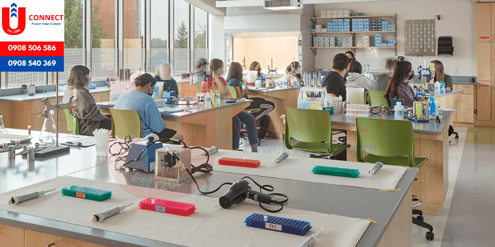 Đại học Connecticut (UConn), bang Connecticut, Mỹ